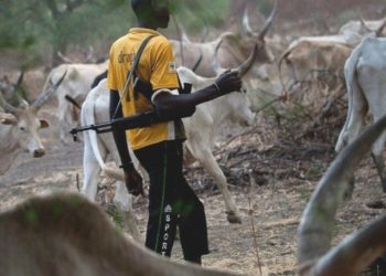 Armed herders hijack buses, kidnap 19 passengers in Benue