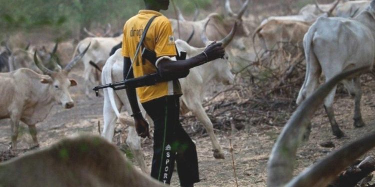 Armed herders hijack buses, kidnap 19 passengers in Benue