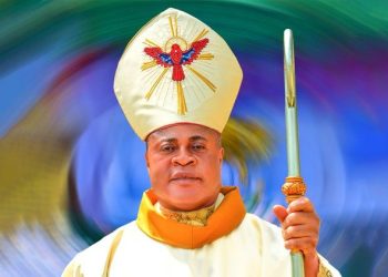 Cardinal Okpaleke may be the next Pope – Fr. Egielewa