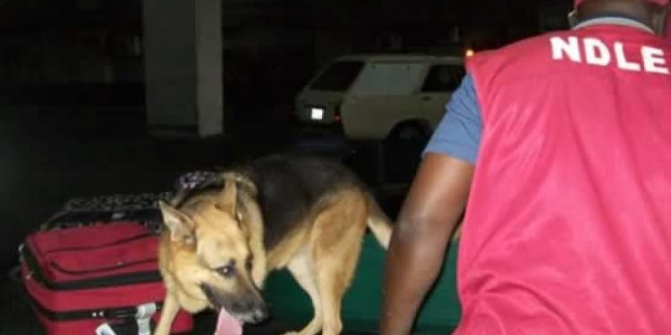 NDLEA arrests Malaysian returnee with drugs hidden in music speakers