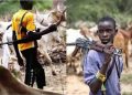 Armed herdsmen armed with AK-47 rifles take over Ukum LGA, other ‘Sankera’ communities in Benue State