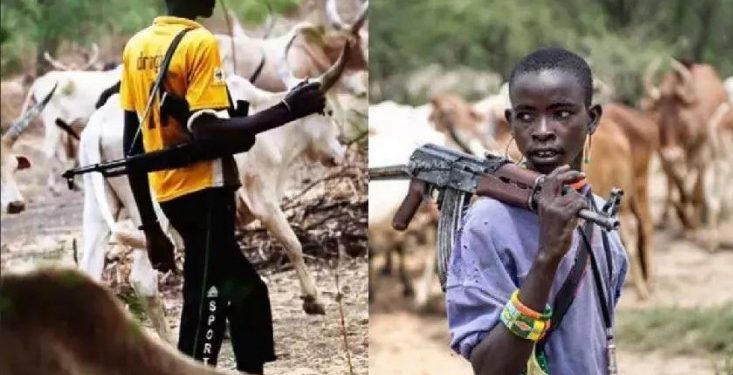 Armed herdsmen armed with AK-47 rifles take over Ukum LGA, other ‘Sankera’ communities in Benue State
