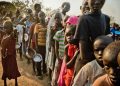 Nigeria accounts for 31% of malaria deaths, 27% of total cases worldwide