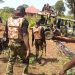 Operation Lafiyan Jama’a winning the war as 6 Brigade Troops recover weapons, destroy bandits camps in Taraba State