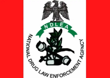 NDLEA arrests Malaysian returnee with drugs hidden in music speakers