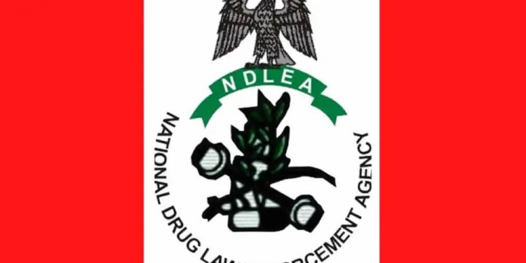 NDLEA arrests Malaysian returnee with drugs hidden in music speakers