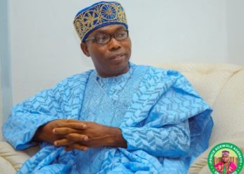 NNPCL is making progress, but it won’t save Tinubu in next election – Adebayo