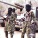 Terrorists’ Attacks On Army Formations: Arms worth trillions of naira in Boko Haram/ISWAP hands, Reps Member alleges