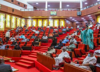 Insecurity: Senate moots two-day national security summit