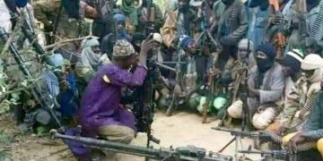 Senate expresses worry over Boko Haram resurgence, likelihood of spreading