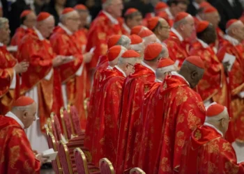 Pope Francis Successor: 133 Cardinals converge on Rome for conclave