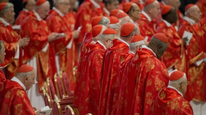 Pope Francis Successor: 133 Cardinals converge on Rome for conclave