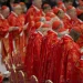 Pope Francis Successor: 133 Cardinals converge on Rome for conclave