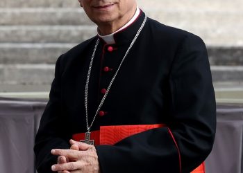 Cardinal Robert Prevost, now Pope Leo XIV Emerges as Francis Successor