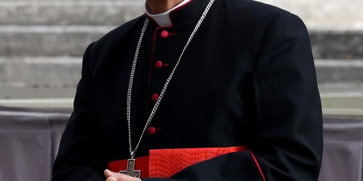 Cardinal Robert Prevost, now Pope Leo XIV Emerges as Francis Successor