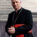 Cardinal Robert Prevost, now Pope Leo XIV Emerges as Francis Successor