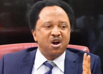 2027: Tinubu’s re-election a done deal if opposition coalition fails — Shehu Sani