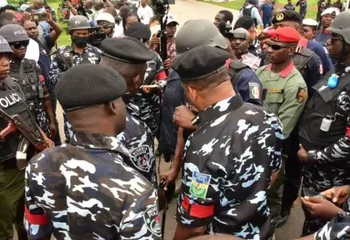 Police raid Kaduna, arrest 182 suspects, recover arms, drugs 