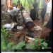Troops destroy 27 bunkering sites, arrest 43 suspects in Niger Delta