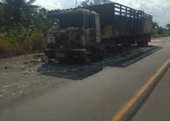 Gunmen kill two truck drivers, set vehicle ablaze in Imo