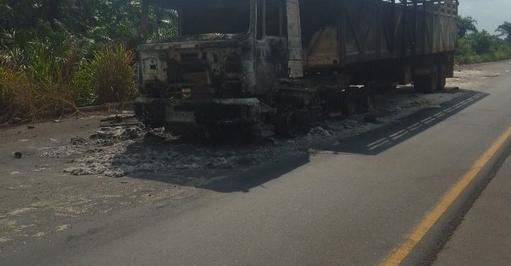 Gunmen kill two truck drivers, set vehicle ablaze in Imo