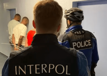 Cybercrime constitute over 30% of crimes in West, East Africa – INTERPOL