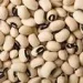 Price of beans crashes by over 100 per cent nationwide