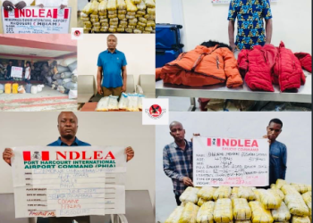 NDLEA foils multiple drug trafficking attempts