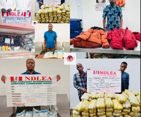 NDLEA foils multiple drug trafficking attempts