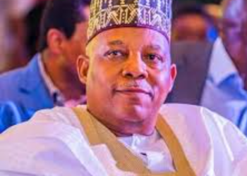2027: Shettima’s political future bleak as N’East APC dumps him