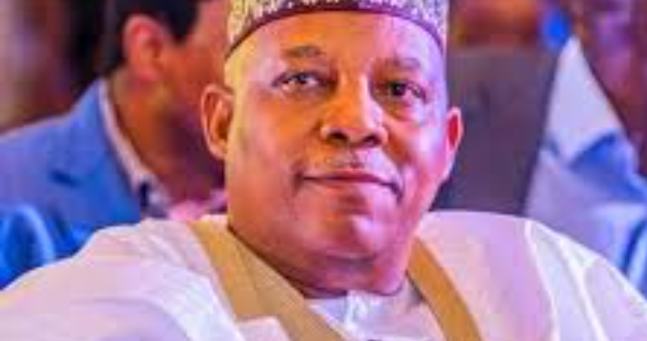 2027: Shettima’s political future bleak as N’East APC dumps him