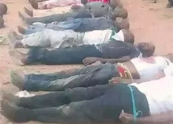 Killings: David Mark warns of self-defence