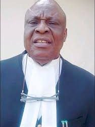 Nzelu offers tips on constitutional review