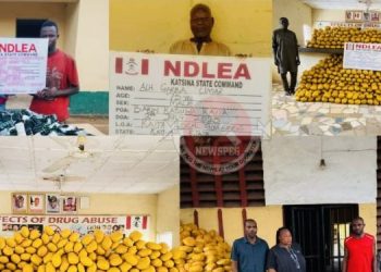 NDLEA intercepts cocaine in lipsticks, nabs drug kingpins, dismantles networks nationwide