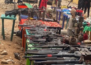 Police arrest 2,785, rescue 100 victims in major crackdown on crimes in Imo