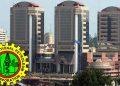 N210trn: Outrage as NNPCL GCEO fails to appear before the Senate Committee