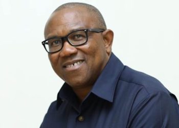 Why I serve food at public functions, by Peter Obi