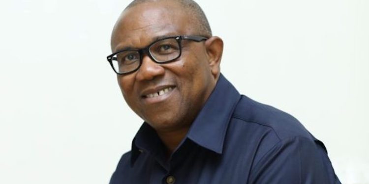 Why I serve food at public functions, by Peter Obi