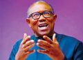 Why I serve food at public functions, by Peter Obi