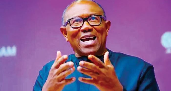 Why I serve food at public functions, by Peter Obi