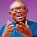 Why I serve food at public functions, by Peter Obi