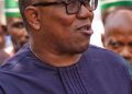 Why I serve food at public functions, by Peter Obi