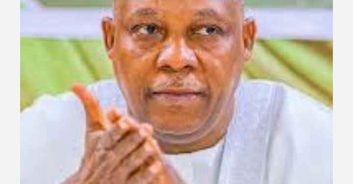 Shettima disagrees with Tinubu over Fubara’s suspension