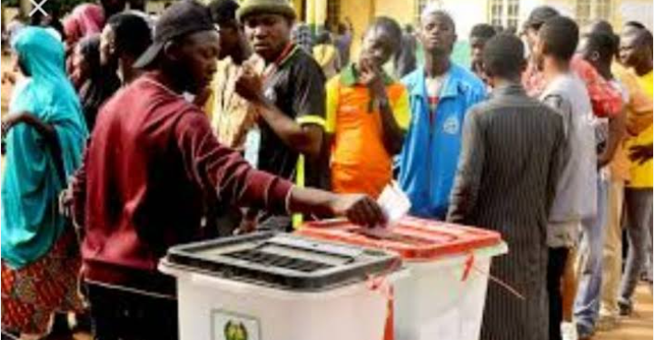LG election results travesty of democracy – CSOs