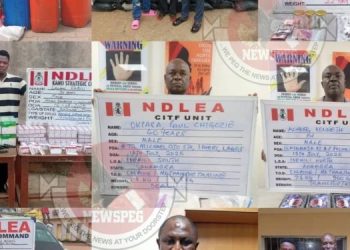 NDLEA nabs elusive drug kingpins in Lagos