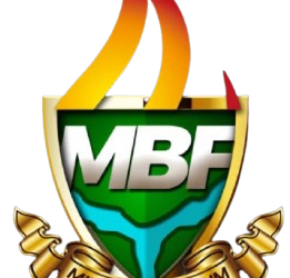 MBF rejects Sultan, Ooni ad permanent Co-chairmen Traditional Rulers Council 