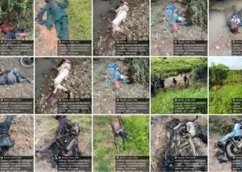 NAF flies 1,500 hours, eliminates 592 insurgents, destroys 372 enemy assets in Borno