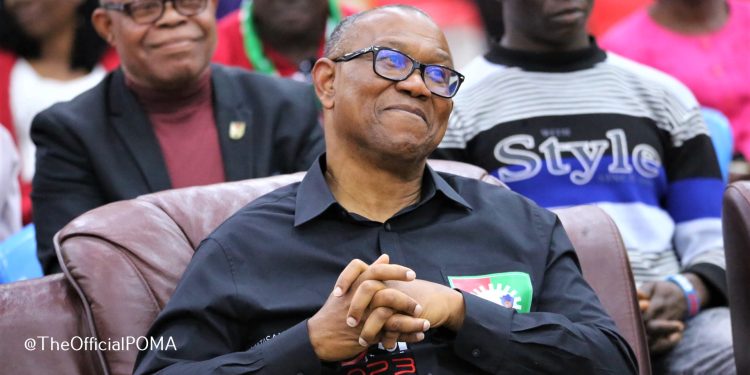 Is Peter Obi Igbo best political foot forward? (1)