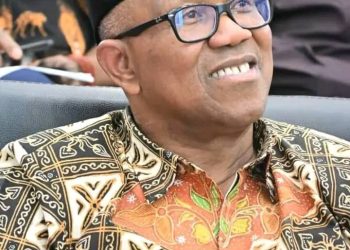 Peter Obi may not be President in 2027; this is why