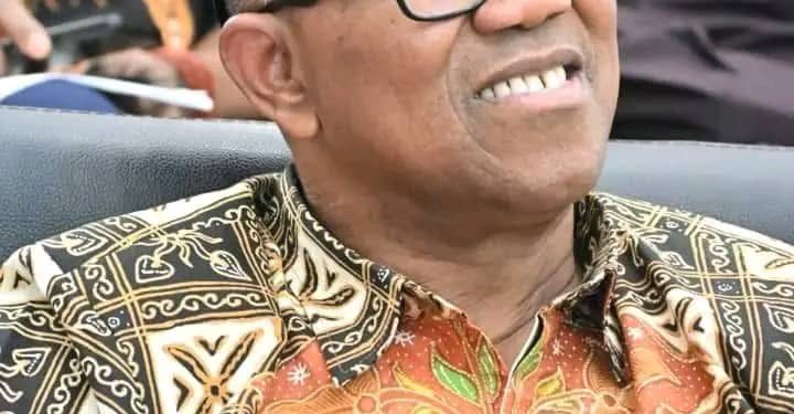 Peter Obi may not be President in 2027; this is why
